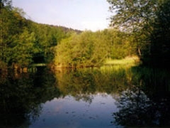 Völser Teich